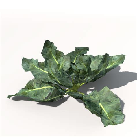 Xfrogplants Broccoli 3d Model Cgtrader