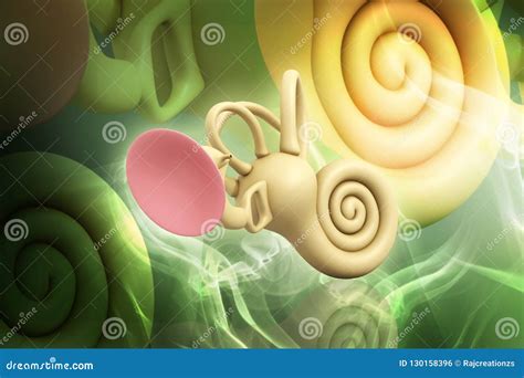 3d Rendered Inner Ear Isolated On Color Background Stock Illustration Illustration Of