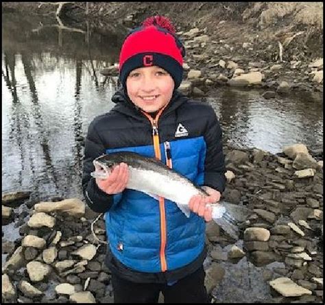 Steelhead Rainbow Trout Heats Up In Rocky Chagrin Rivers Ne Ohio