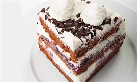 chocolate cream torte recipe dr oetker