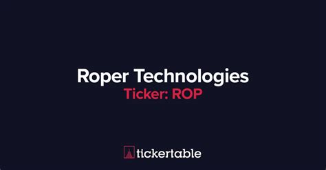 What Does Roper Technologies Do?