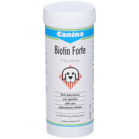 Biotin Forte Polvere G G Redcare