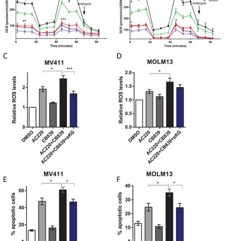 GLS Gene Deletion And Chemical Inhibition Are Synthetically Lethal With