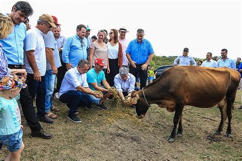 Governo anuncia ajuda de R 430 milhões a agricultores Geral