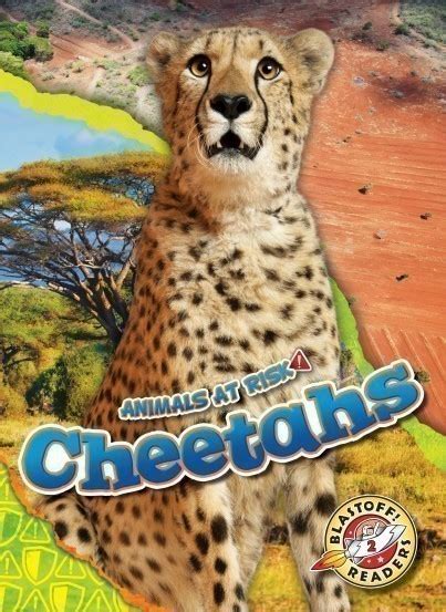 Book Farm LLC Nonfiction Books Cheetahs 23 Level 2