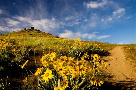 Desert Photography In Nampa Idaho