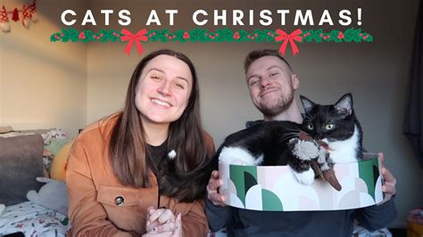 DO YOU GET YOUR PETS CHRISTMAS PRESENTS Cat Present Ideas Vlogmas Day