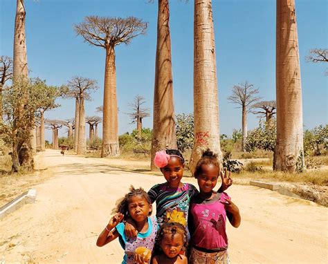 Madagascar Decouverte (2026) - All You Need to Know BEFORE You Go (w