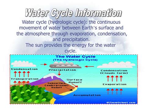 Ppt The Water Cycle Powerpoint Presentation Free Download Id738951