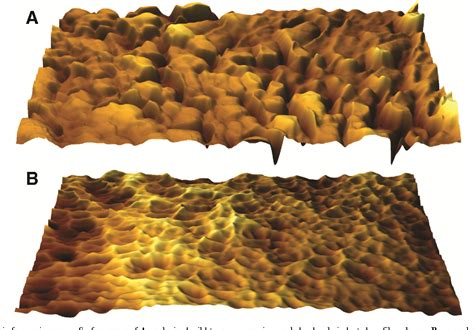 Figure 2 From Melanin Is Not Required For Turgor Generation But