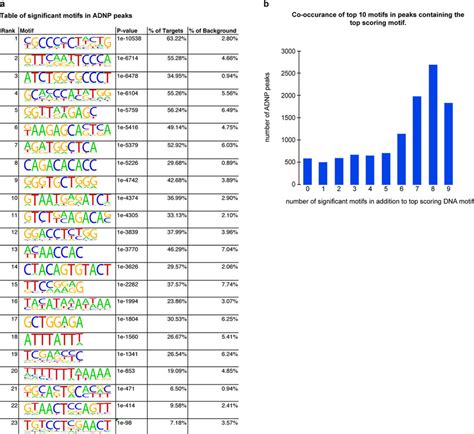 Motif Analysis Of ADNP Bound Loci A ADNP DNA Binding Motifs Predicted