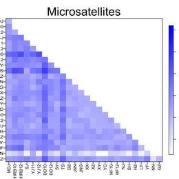 Heatmap Of Pairwise Fst Values Estimated From Mitochondrial Dna