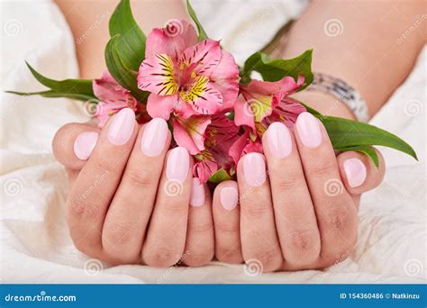 Hands With Short Manicured Nails Colored With Pink Nail Polish Stock