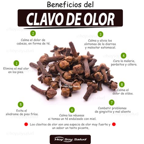 CLAVO De OLOR Beneficios Y Propiedades Saludable Revista Digital