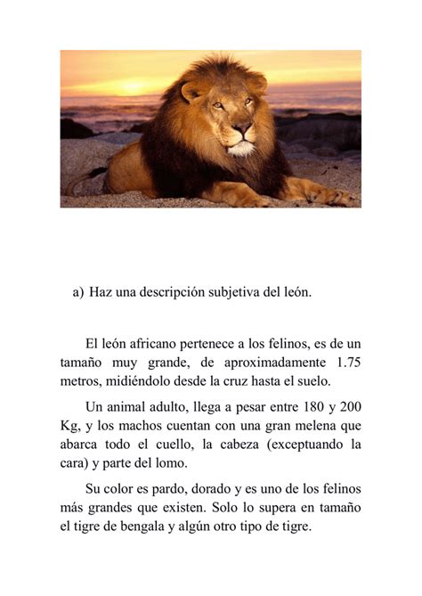 A Haz Una Descripción Subjetiva Del León El