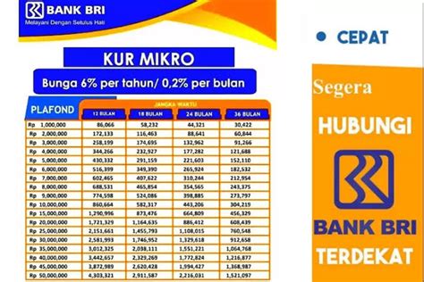 Info Terbaru KUR BRI 2024 Calon Debitur Wajib Penuhi Syarat Ini