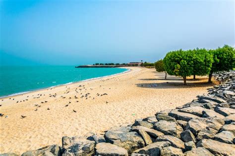 View of a Beach in the Kuwait City Stock Photo - Image of coastline ...