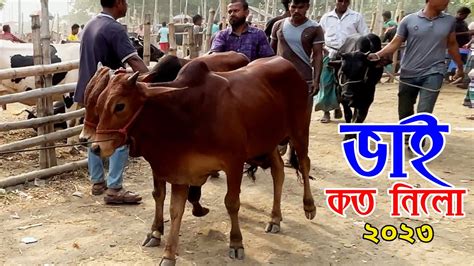 Bhai Koto Nilo Paragram Hozrotpur Gorur Haat 2023 Part 10 Cow