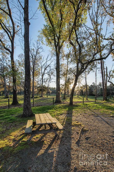 Camp Spot In Campground Photograph By David Arment Fine Art America