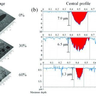 Images Of Wear Tracks On The Surface Obtained By A Optical