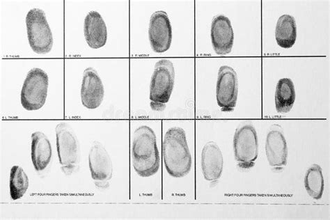 Forensic Fingerprint Examination on Crime Scene Stock Photo - Image of ...