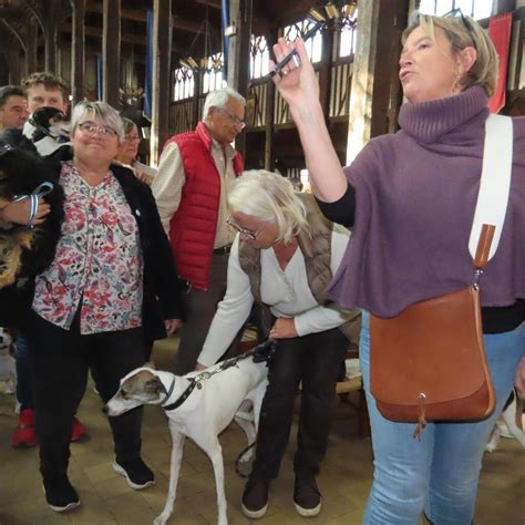 Bénédiction des animaux à Honfleur et Dieu reconnaîtra les chiens