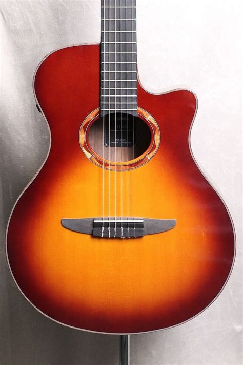 New Yamaha Ntx Bs Brown Sunburst Acoustic Guitar From Japan Ebay