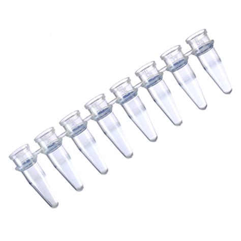 Individual Flat Connect Cap Transparent 0 2ml 8 Strip PCR Tube PP