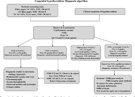 Congenital Hypothyroidism Treatment