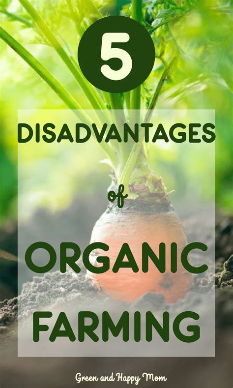 Benefits Of Organic Farming Artofit