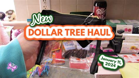 NEW DOLLAR TREE HAUL January 11 2024 YouTube