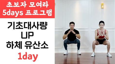 1day 다솔맘 New 5days 프로그램 무슨 운동을 해야 할지 모르는 분들을 위한 하체 유산소 20분 운동 하체