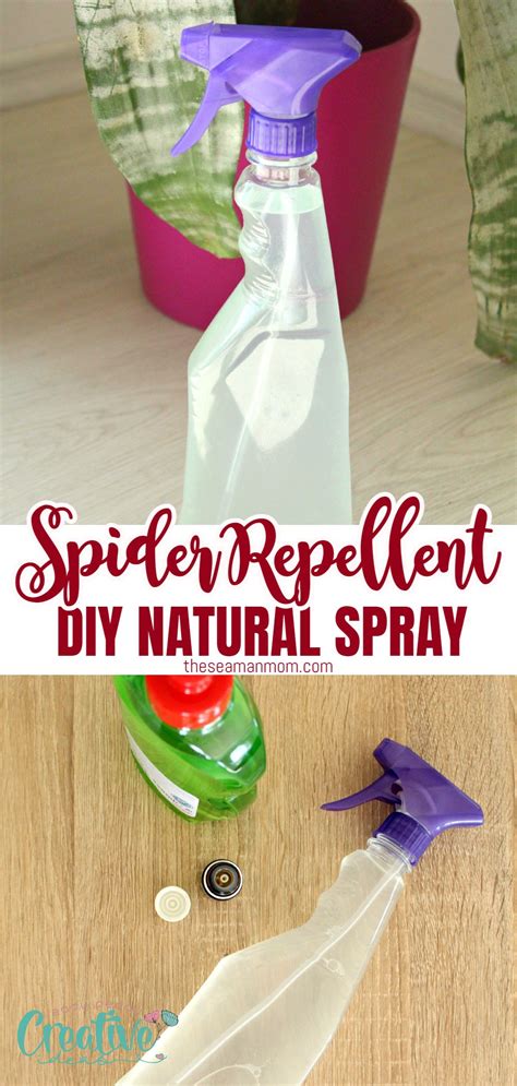 How To Make A Diy Spider Repellent At Home Easy Peasy Creative Ideas