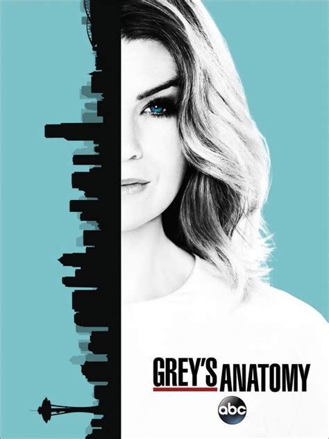 Greys Anatomy Season 13 Poster Seat42f