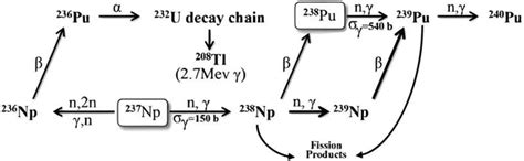 Study introduces improved plutonium production with enhanced efficiency and reduced costs