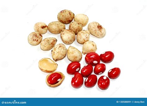 Bambara Groundnut on White Background Stock Image - Image of grow ...