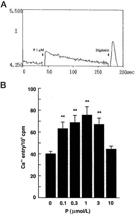 Measurement Of Intracellular Free Ca 2 Using The Fura 2am Method In