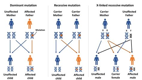 Genetic Testing for Inherited Retinal Diseases - Fighting Blindness Canada (FBC)