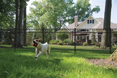 York Aluminum Fencing Freedom Outdoor Living For Lowes