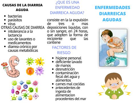 Enfermedades Diarreicas Agudas Embriologia Humana Ceseeo Studocu