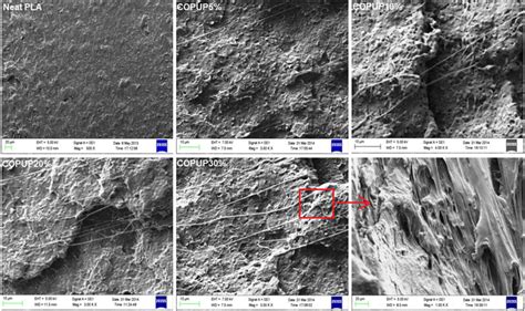 Sem Micrographs Of Impact Fracture Surface Of Neat Pla And Its Blends