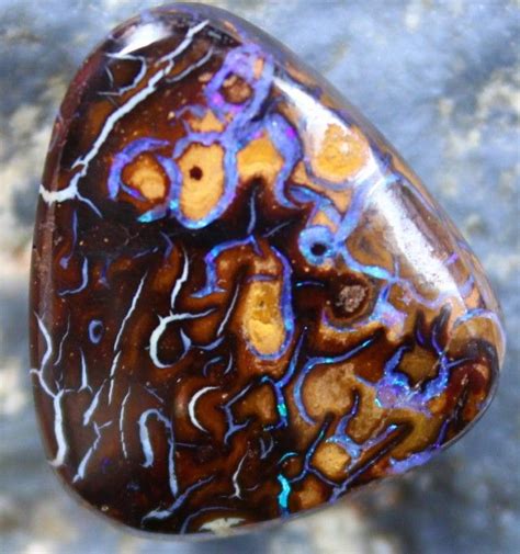 Cts Yowah Opal Great Pattern Top Polish Stone C Yowah Opal