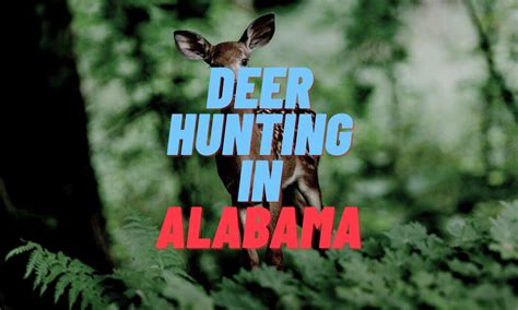 Alabama Deer Hunting Season 2024 Susi Lynnett