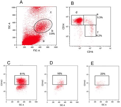 Phenotypic Identification Of Monocytes And Monocyte Subsets Whole