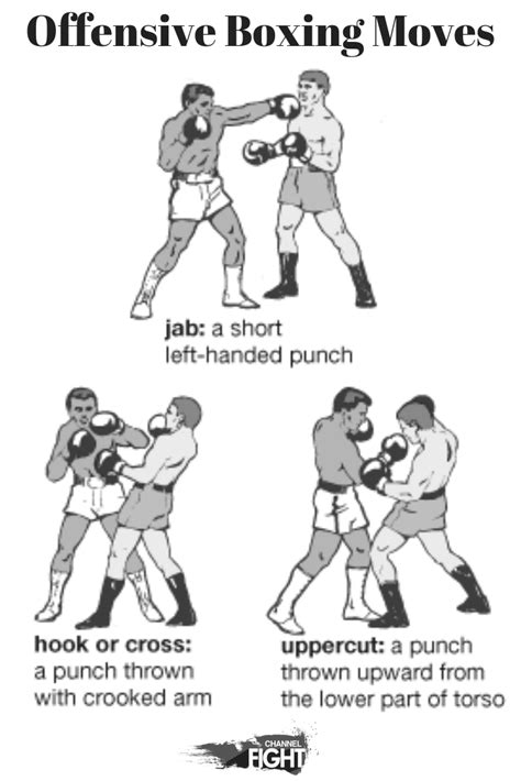 Boxing Punches Diagrams