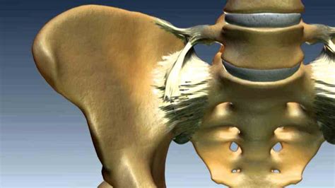 clinical implications journal – pmc applied Anatomy Of The Sacroiliac ...