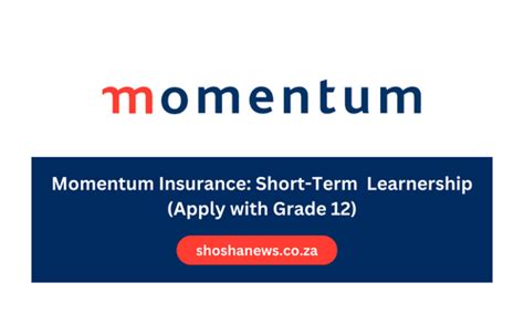 Momentum Insurance Short Term Learnership Apply With Grade