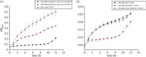 Effects Of Mbpdicb On Cell Growth A Growth Curves Of Wt E Coli