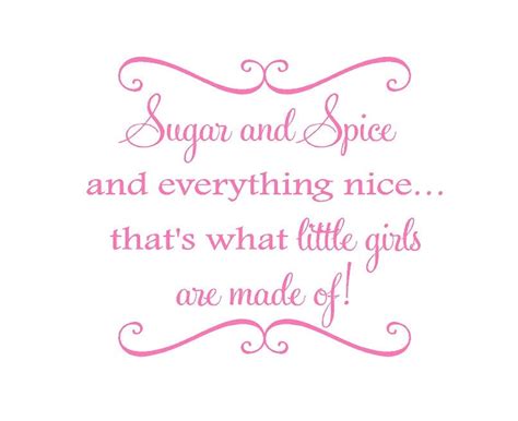 Sugar And Spice And Everything Nice Vinyl By Openheartcreations