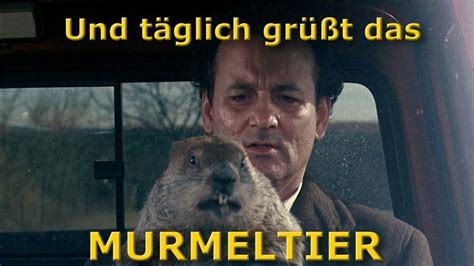 Und täglich grüßt das Murmeltier Und täglich grüßt das murmeltier